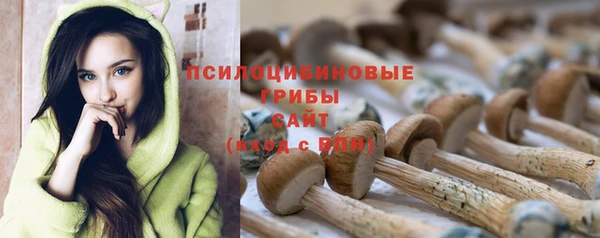 кокаин премиум Беломорск